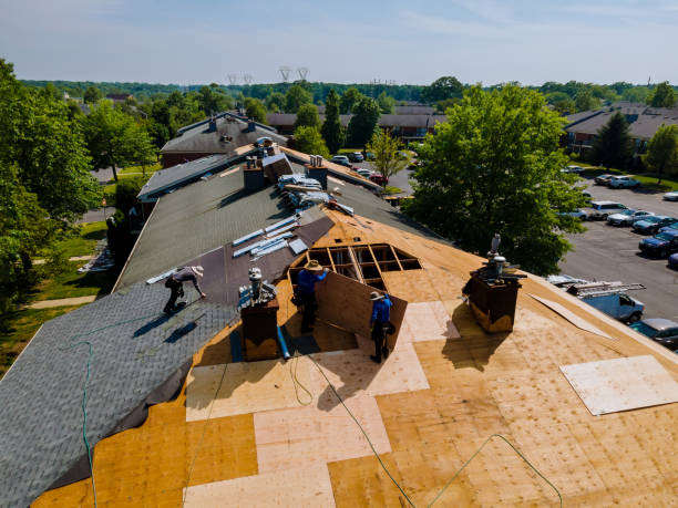 Roof Repair Estimates in Apison, TN