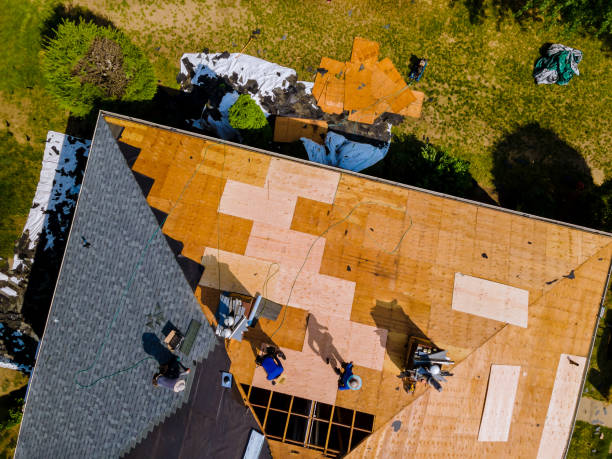 Best Storm Damage Roof Repair  in Apison, TN